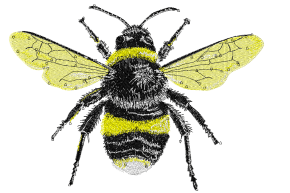 Fuzzy Bumblebee Embroidery Design Review