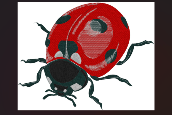 Ladybird Embroidery Design Review