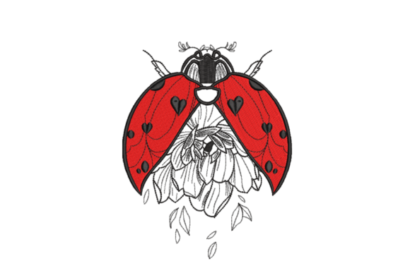 Ladybug Heart Wings Review