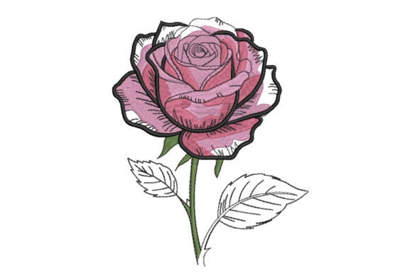 Sketched Pink Rose Embroidery Review